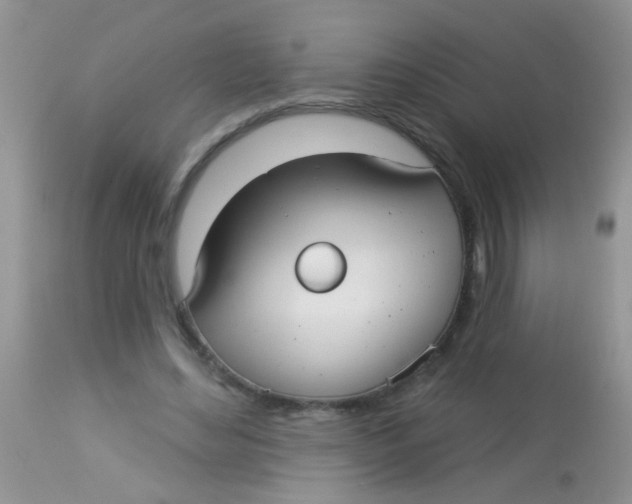 X0000113060492200909182004