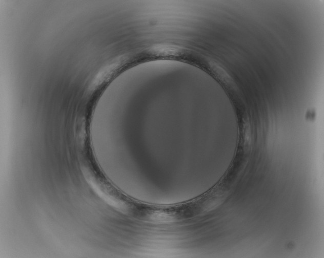 X0000113060494200909182004