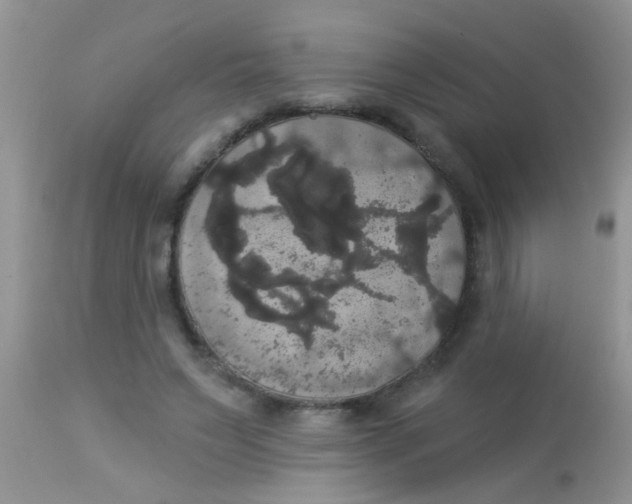 X0000113060495200909182004