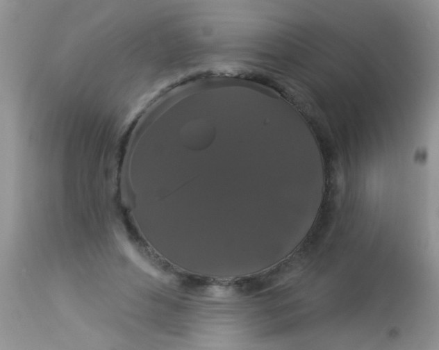 X0000113060496200909182004