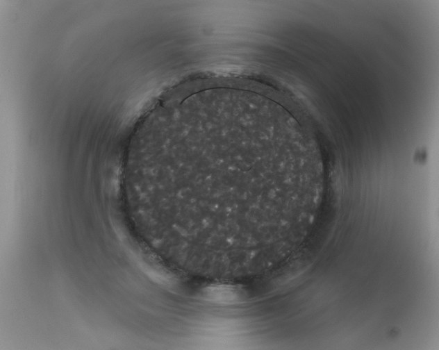 X0000113060499200909182004