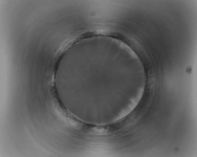 X0000113060502200909182004