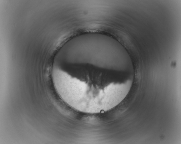 X0000113060503200909182004