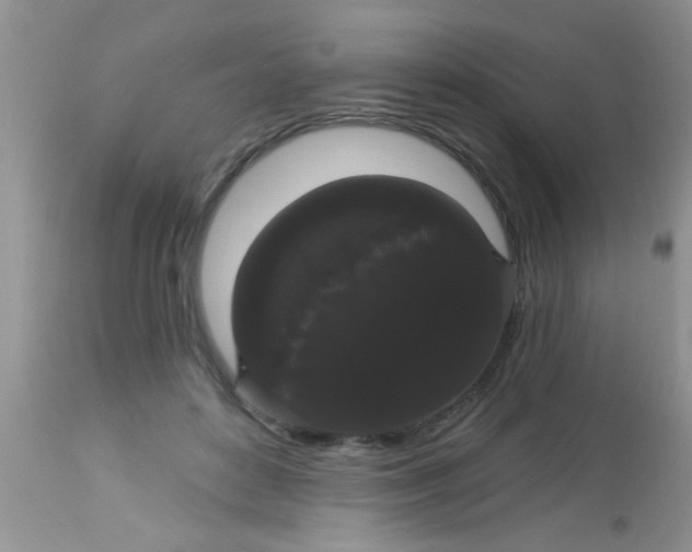 X0000113060504200909182004