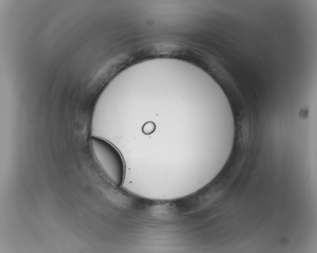 X0000113060505200909182004