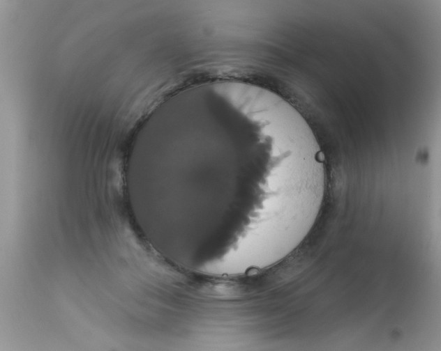 X0000113060506200909182004