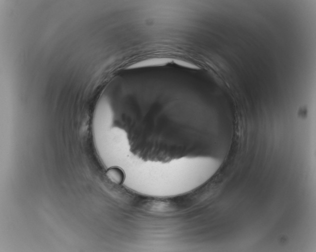 X0000113060507200909182004