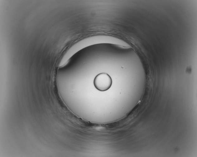 X0000113060509200909182004