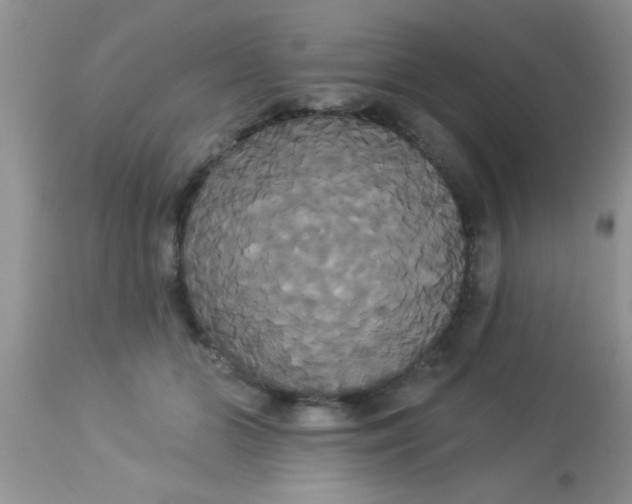 X0000113060510200909182004