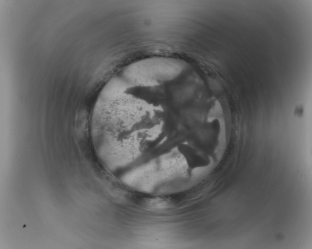 X0000113060511200909182004