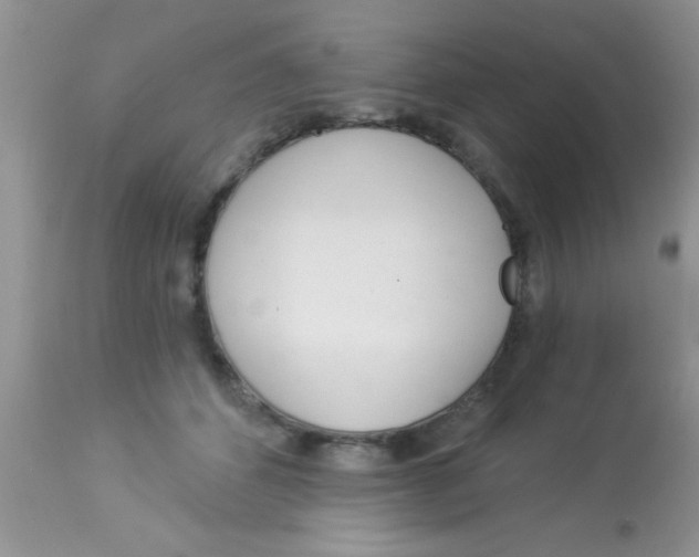 X0000113060512200909182004