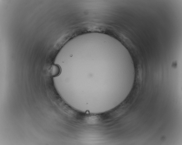 X0000113060513200909182004