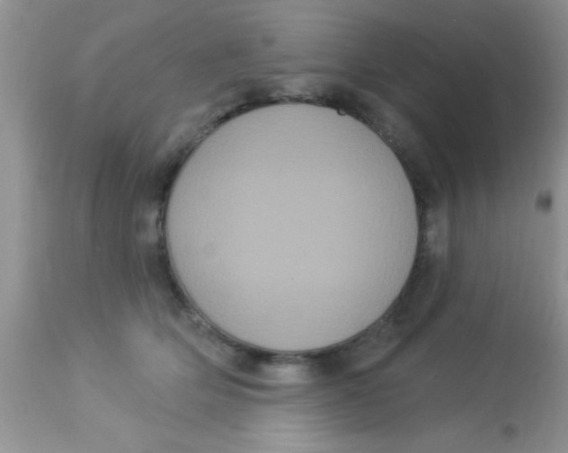 X0000113060514200909182004