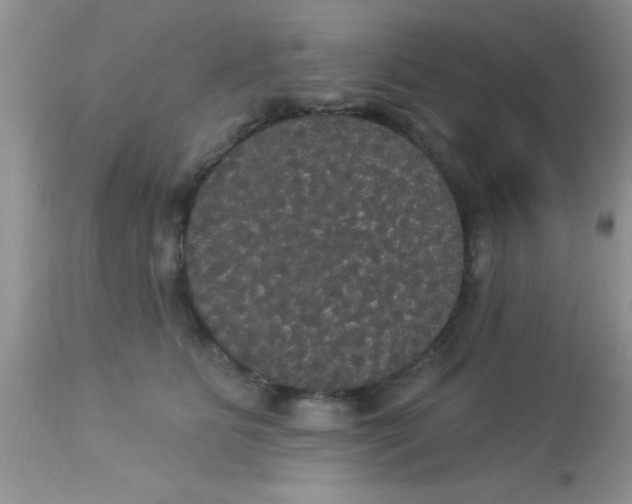 X0000113060515200909182004