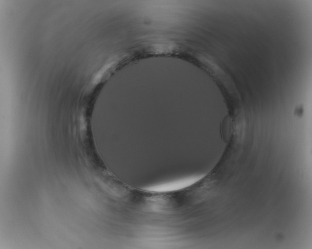 X0000113060516200909182004