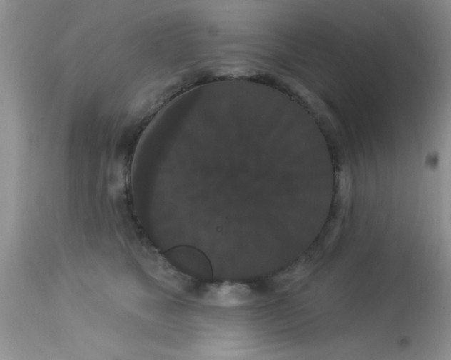 X0000113060517200909182004