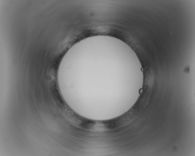 X0000113060518200909182004