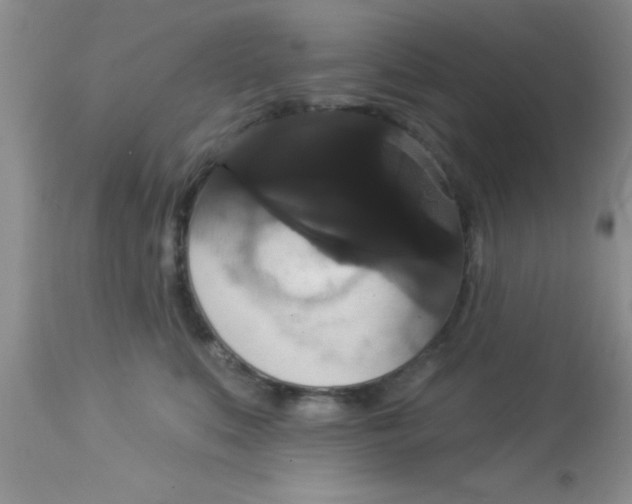 X0000113060519200909182004