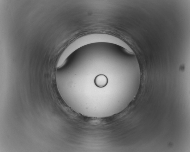 X0000113060521200909182004