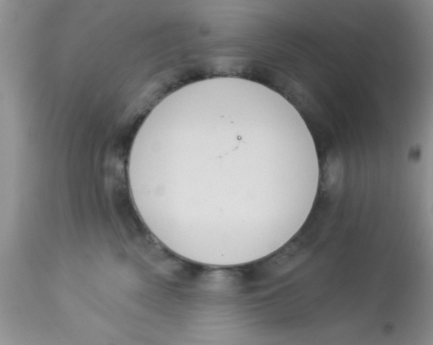 X0000113060522200909182004