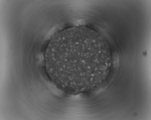 X0000113060523200909182004