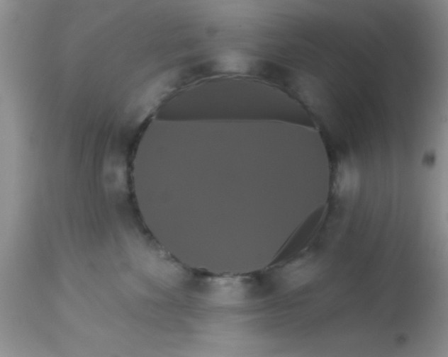 X0000113060524200909182004