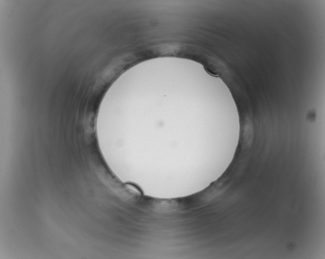 X0000113060525200909182004