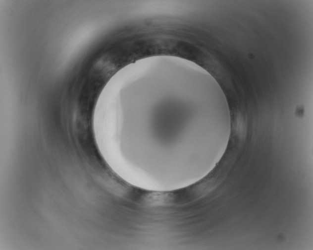 X0000113060526200909182004