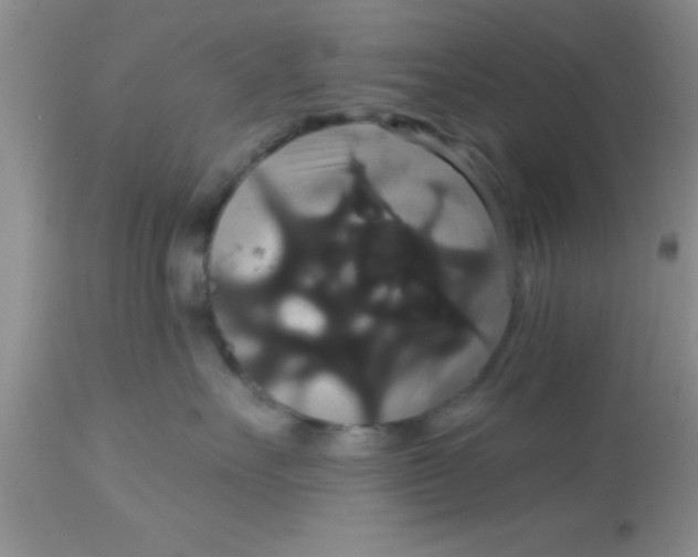 X0000113060527200909182004