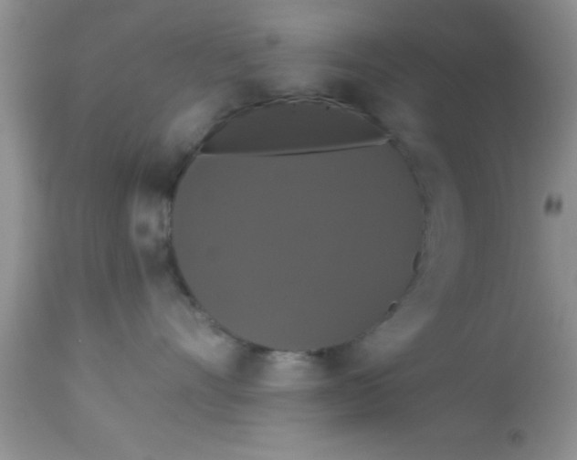 X0000113060528200909182004