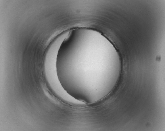 X0000113060530200909182003