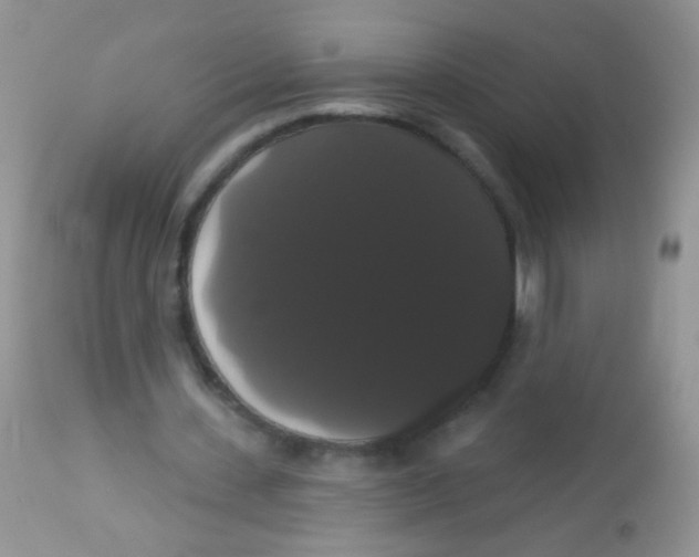 X0000113060531200909182003