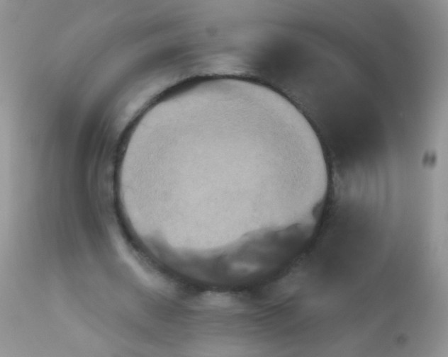 X0000113060534200909182003