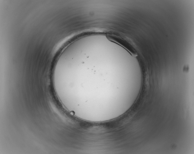 X0000113060536200909182003