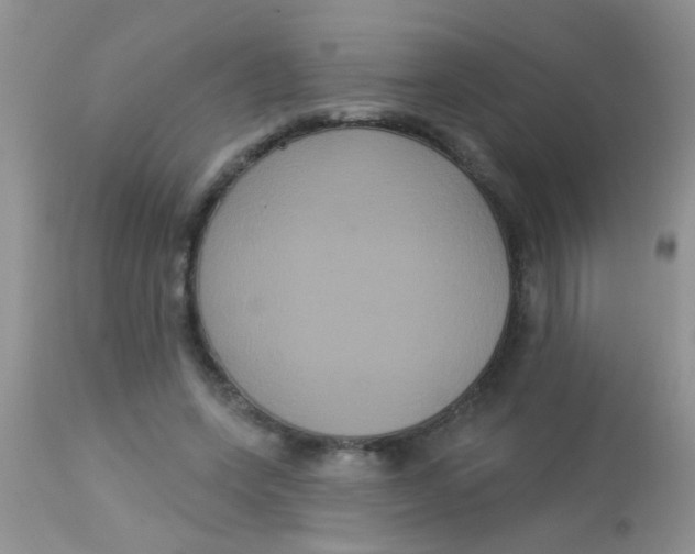 X0000113060543200909182003