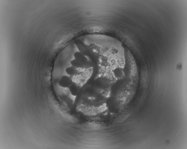 X0000113060545200909182003