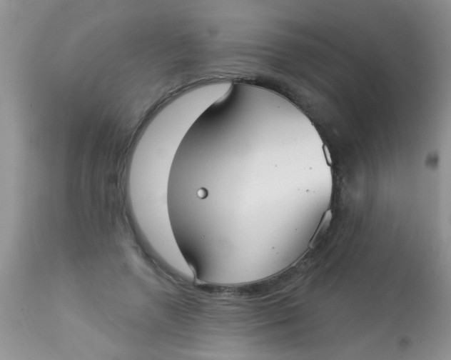 X0000113060546200909182003