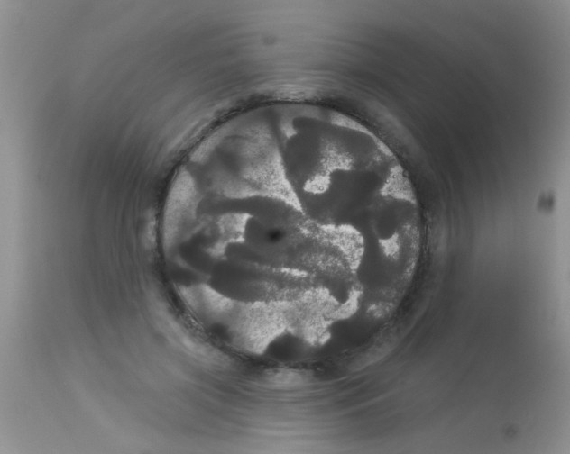 X0000113060549200909182003