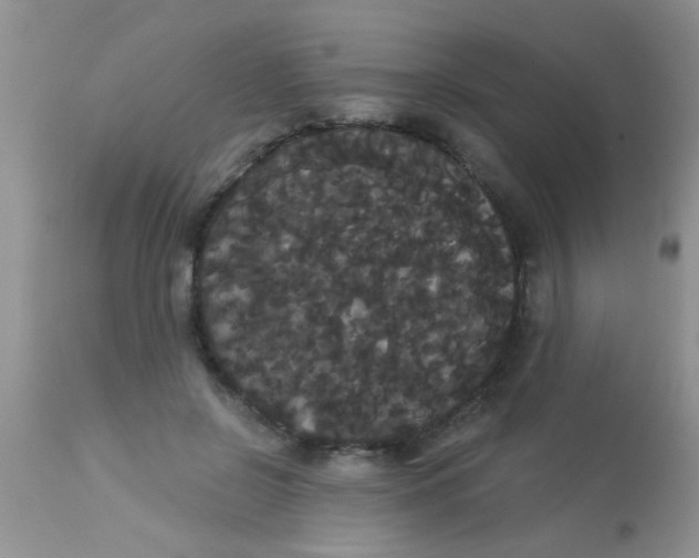 X0000113060550200909182003