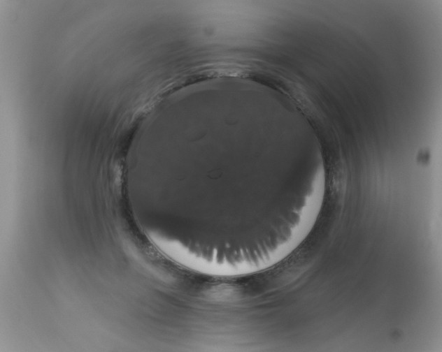 X0000113060551200909182004