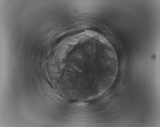 X0000113060553200909182004