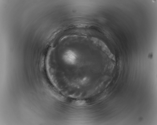 X0000113060554200909182004