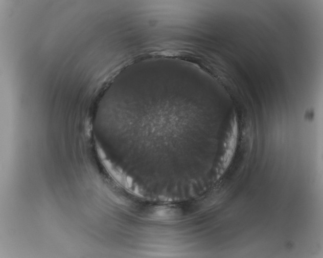 X0000113060555200909182004