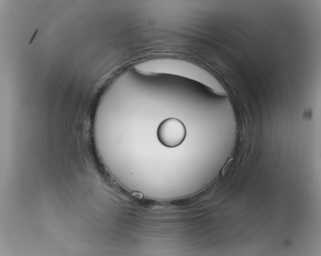 X0000113060556200909182004