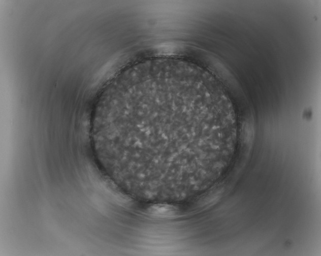 X0000113060557200909182004