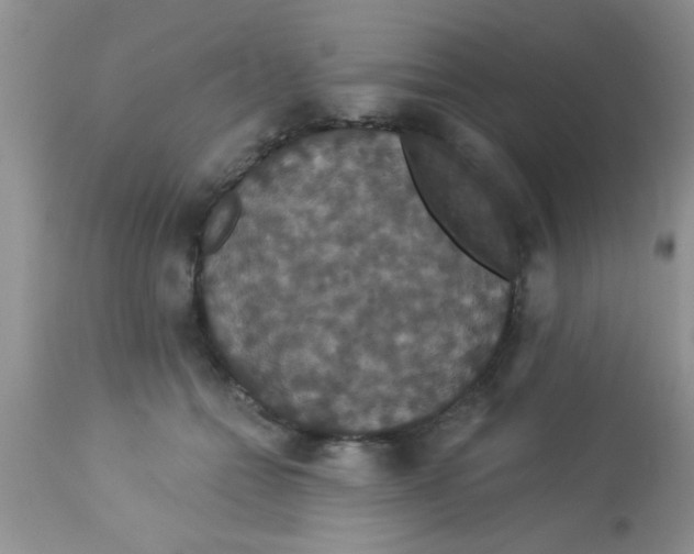 X0000113060558200909182004