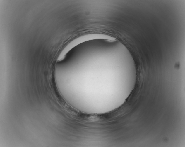 X0000113060562200909182004