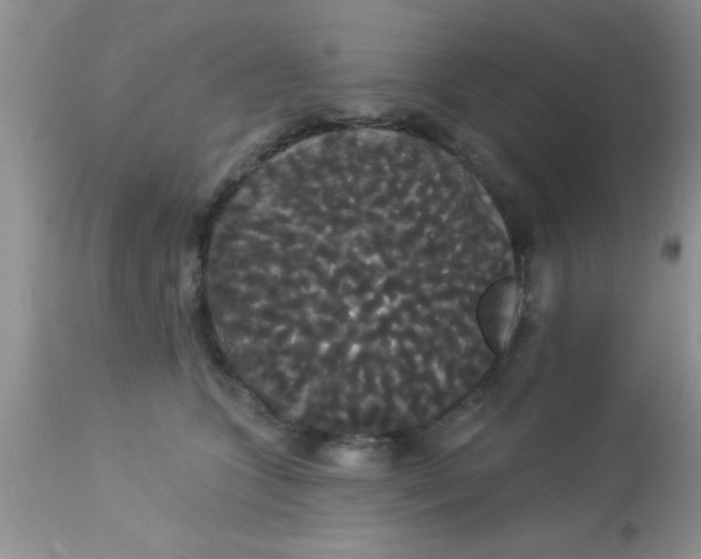 X0000113060563200909182004