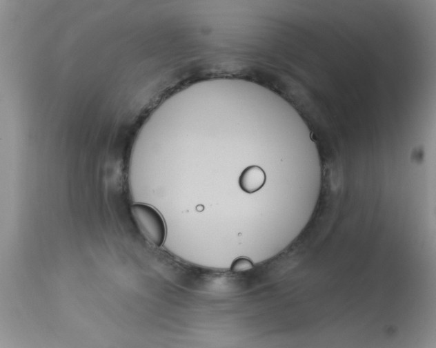 X0000113060564200909182004