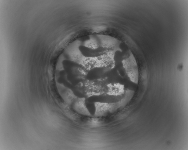 X0000113060565200909182004